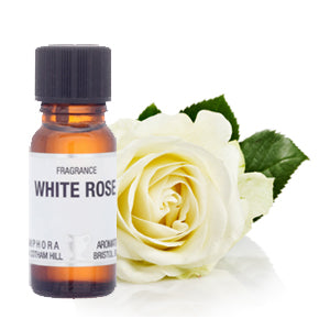 Amphora Aromatics White Rose Fragrance, 10ml