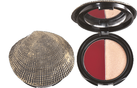 DuWop Seashell Lip Dual - Lipstick and Lipgloss - Thief