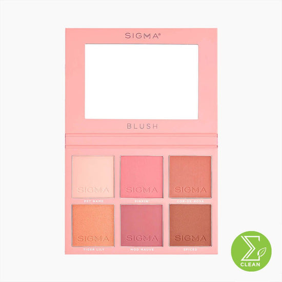 Sigma Beauty Blush Cheek Palette